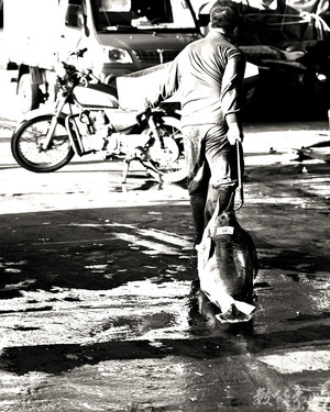 成功魚市場(6)-滿載而歸