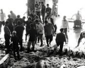 成功魚市場(3)-競標喊價