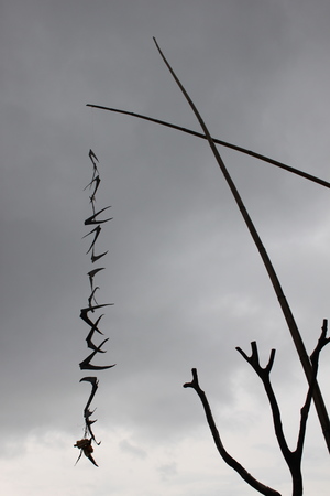 飛魚祭典終了前的另一個豐收