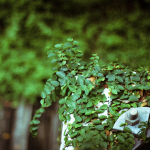 我們都需要擁抱