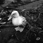 不同的時空，相同的心情