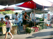 黃昏市場的椰子伯