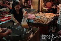 單純的幸福滋味