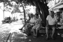 午後的悠閒時光