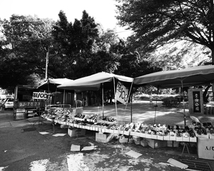 和平下的弱勢族群