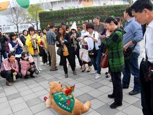 瘋花博不分你、我、「它」