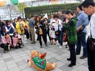 瘋花博不分你、我、「它」