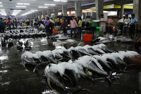 2011第六屆數位島嶼攝影比賽