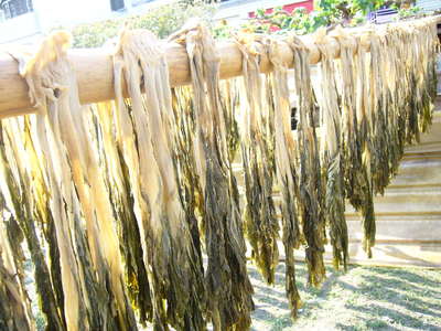 1010108_客家人滷鹹淡的智慧與哲理