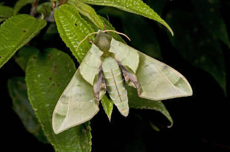 台灣的動物世界（本相簿作品皆經作者授權）