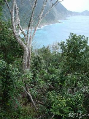 南澳．朝陽國家步道