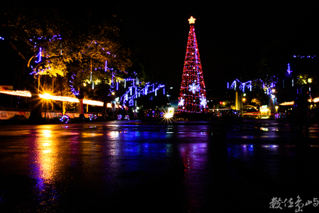 輔大─聖誕夜晚