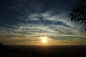大崗山生態園區的午後