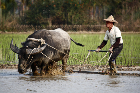 「世紀顯影」－1