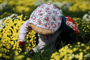 任勞任怨、刻苦耐勞