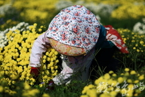 任勞任怨、刻苦耐勞