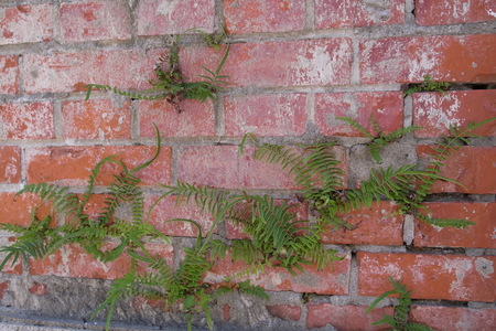 數位島嶼‧台灣拼圖—368鄉鎮區全記錄