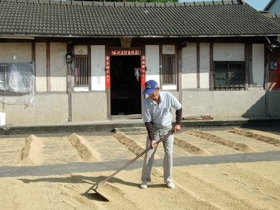 368鄉鎮市區行腳徵文照片