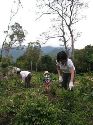  高山上的咖啡志工