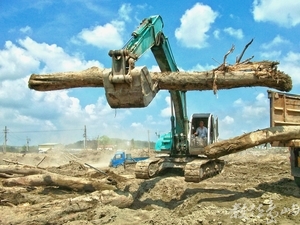 客死異地-註定擱淺的漂流