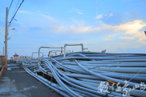 大地植物的獨白