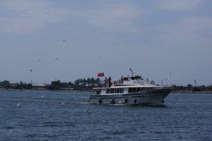 大鵬灣的觀光船