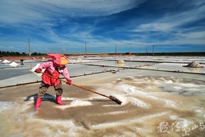 井仔腳鹽田風光