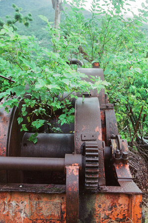 植物與伐木機器-4