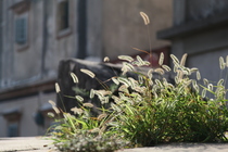 Where have all the young people gone?