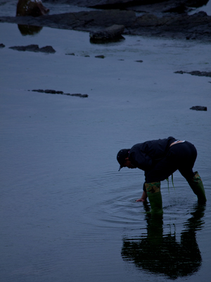 低頭便見水中天