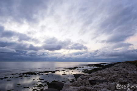 「世紀顯影」相簿