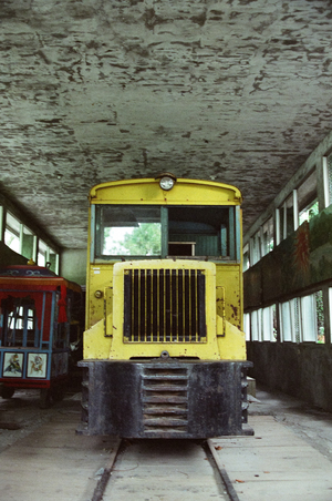 植物與伐木機器-1
