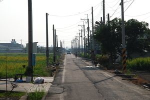 嘉南平原的電線桿