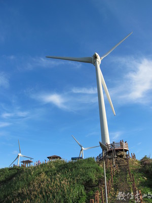 世紀顯影_組圖_我是人，我反核