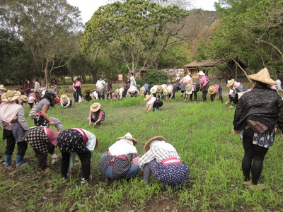 從人類學看教育─以卑南人的生命過程為例（本相簿皆經作者授權)