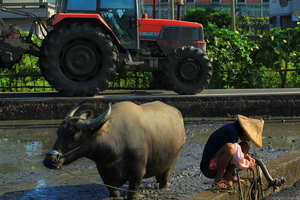 時代巨輪的衝擊