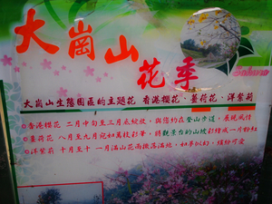 大崗山賞花樂