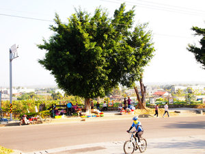 大崗山鐵馬健行樂