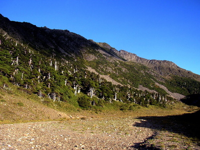 山色