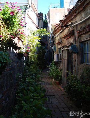 安平老街，後院人家「茉莉巷」。
