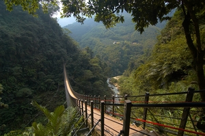 南投縣竹山鎮-竹山天梯