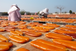 雲林縣口湖鄉-曬烏魚子