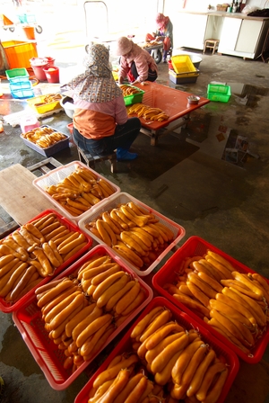 雲林縣口湖鄉-烏魚子製作