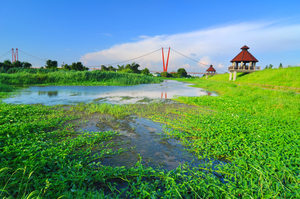 嘉義縣六腳鄉-蒜頭生態公園101.6.24