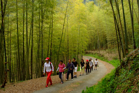 台灣拼圖   南投縣