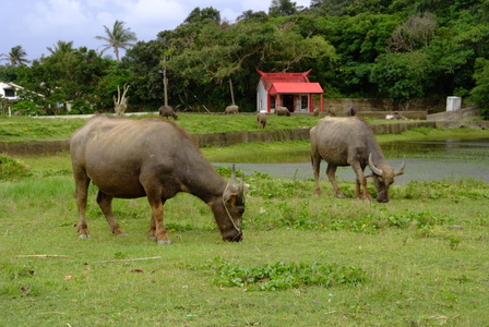 台灣拼圖   屏東縣