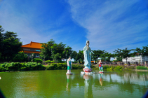 嘉義縣鹿草鄉-觀音池-2012.6.23