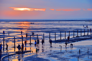 彰化縣芳苑鄉-王功夕照