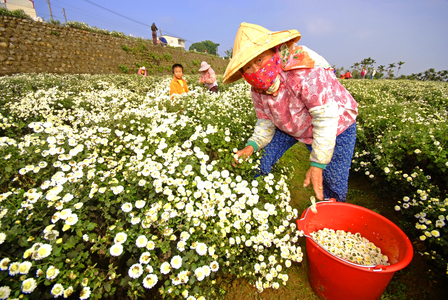 台灣拼圖   苗栗縣