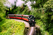 阿里山蒸氣火車